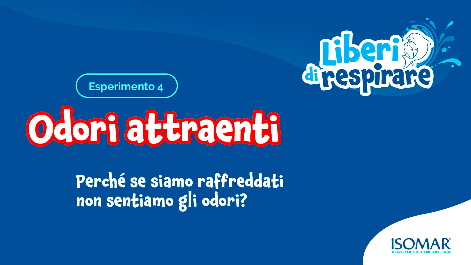 Odori attraenti